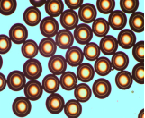 微流控芯片|微流控芯片批量加工