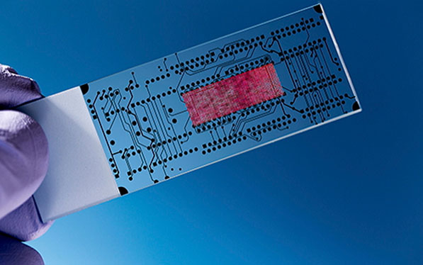 1478141690134913.jpg 芯片鍵合