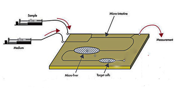 微流控技術(shù)