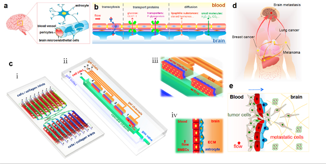 微流控芯片|微流控芯片批量加工