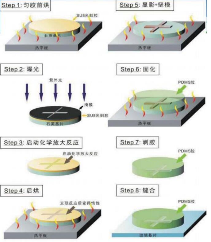 SU 8光刻膠加工模具澆鑄PDMS芯片示意圖