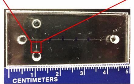 能夠預(yù)測(cè)早產(chǎn)風(fēng)險(xiǎn)的微流控芯片