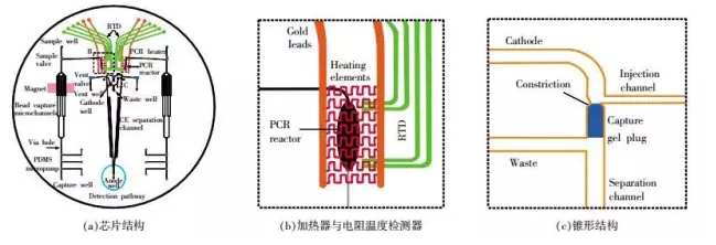 DNA芯片-全集成芯片原理結(jié)構(gòu)