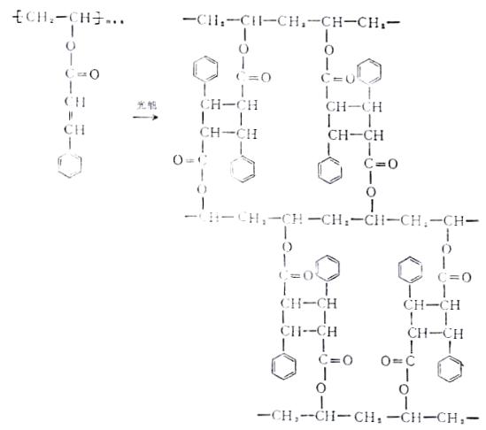 KPR膠的光化學交聯(lián)反應式