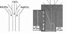 微流控芯片層流技術(shù)