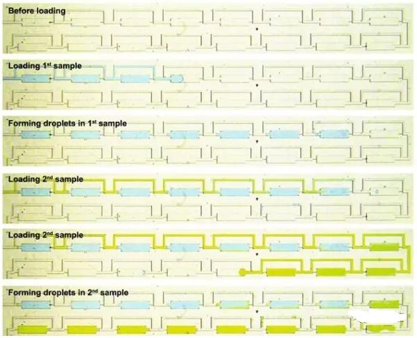 精準(zhǔn)癌癥治療新突破，24小時(shí)出癌細(xì)胞藥敏結(jié)果