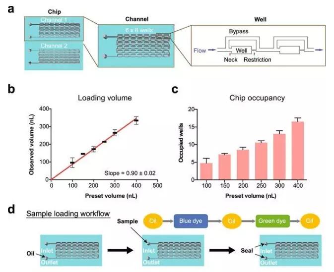精準(zhǔn)癌癥治療新突破，24小時(shí)出癌細(xì)胞藥敏結(jié)果