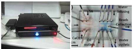 新型數(shù)字化閥控微流平臺(tái)及其應(yīng)用在藥物開發(fā)和抗藥篩選方面的研究