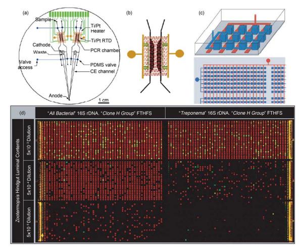 集成微流控芯片用于聚合酶鏈?zhǔn)椒磻?yīng)(PCR)應(yīng)用實例 (a) 多通道 RT-PCR-CE 芯片結(jié)構(gòu)示意圖, 在 1 塊 100 mm 直徑的芯片上集成有阻抗加熱元件、加熱電極引出條、Ti/Pt 感應(yīng)溫度傳感器、PCR 反應(yīng)腔室、電泳分離通道和 PDMS 氣動微閥; (b) 反應(yīng)腔室區(qū)域放大圖[26]; (c) 數(shù)位式集成化 PCR 微流控芯片示意圖, 深色, 反應(yīng)微腔室; 淺色, 微閥; (d) 數(shù)位式集成 PCR 反應(yīng)結(jié)果圖