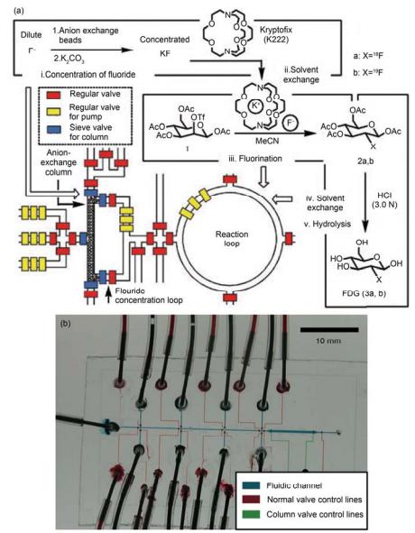 集成微流控芯片用于化學(xué)合成的研究 (a) 規(guī)模集成式芯片用于操控液體在芯片中合成 2-18 氟-2-脫氧葡萄糖芯片核心結(jié)構(gòu)與過程示意圖[39]; (b) 用于合成寡聚核苷酸分子的集成式 PFPE 微流控芯片實物圖