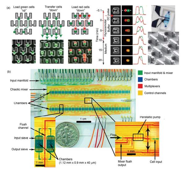 集成微流控芯片對細(xì)胞的操控與全自動培養(yǎng) (a) 利用芯片的加工對 A 和 B 細(xì)胞配對精確控制, 并在芯片上進(jìn)行高效率細(xì)胞融合[17]; (b) 全集成微流控芯片對細(xì)胞的全自動化連續(xù)培養(yǎng)