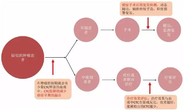 CTC在癌癥治療中的應(yīng)用場景