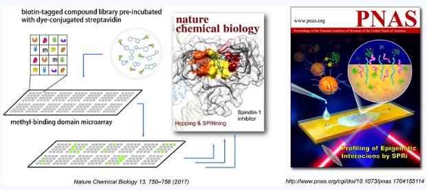 表觀遺傳研究的新蛋白微陣列技術(shù)