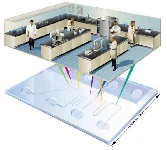 微流控芯片實(shí)驗(yàn)室示意圖