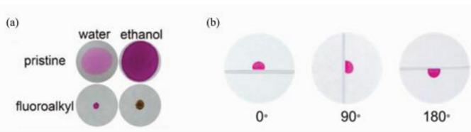 (a)染料水溶液和乙醇溶液分別滴加到原始濾紙上和全氟辛基二氧化硅修飾的濾紙上，及(b)水滴在不同旋轉角度全氟辛基二氧化硅修飾的濾紙表面上的照片