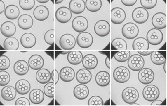 汶顥股份微流控液滴技術(shù)