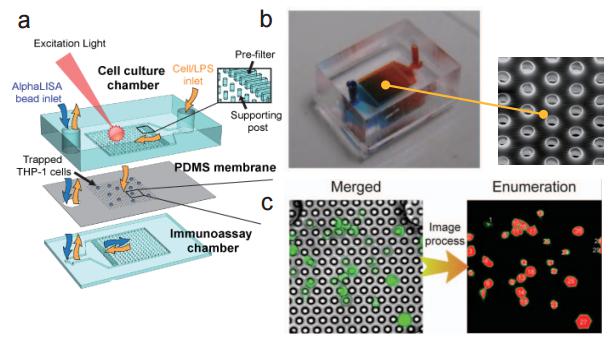 多孔洞結(jié)微過濾薄膜之微流控芯片 (a) 流流控芯片示意圖 (b) 實際微流控芯片照片及使用電子掃描顯微鏡（SEM）所拍攝之微過濾薄膜孔徑圖 (c) 使用分析軟體進行細胞計數(shù)示意圖