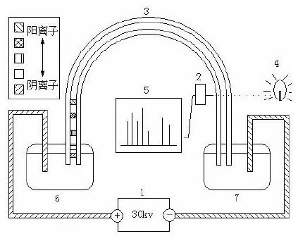 微流控芯片毛細(xì)管電泳過(guò)程示意圖