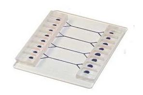 汶顥微流控芯片流體的驅(qū)動和控制