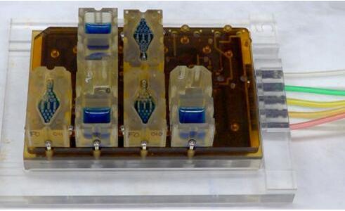 EVATAR是一款口袋大小的女性生殖系統(tǒng)模型，血樣流體（藍(lán)色）將流經(jīng)含有微型器官的孔