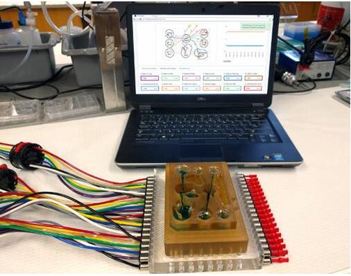 研究人員將多器官平臺連接到相關(guān)軟件，每個孔都連接有一個微型生理系統(tǒng)，如肺、腸道，或中樞神經(jīng)系統(tǒng)，流體流經(jīng)通道以模擬生理心臟輸出