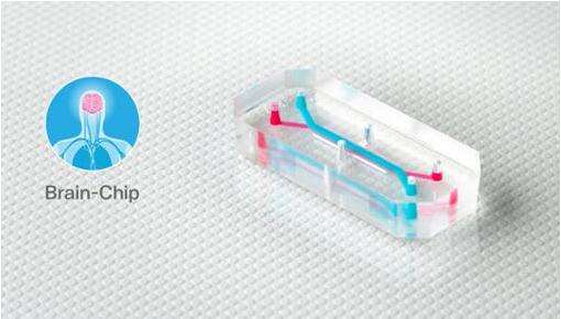 Emulate的器官芯片，如大腦芯片，包含排列成千上萬活的人體細(xì)胞和組織的微小中空通道，每個都有大約AA電池（5號電池）大小