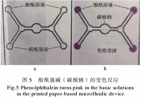 為了驗(yàn)證紙包裝與紙基微流控芯片的整合技術(shù)，在紙盒的4個(gè)體板上分別制作了4個(gè)微流控芯片，該紙基芯片在pH值檢測(cè)中的應(yīng)用示例見(jiàn)圖5。