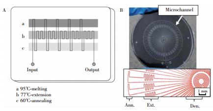 圖2  蛇形通道型 PCR芯片:(A) 平行通道 PCR芯片，(B) 輻射通道 PCR芯片
