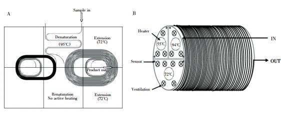 圖3  螺旋通道型 PCR裝置: ( A) 平面螺旋通道 PCR 裝置，( B) 圓柱螺旋通道 PCR裝置