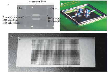  微池型 PCR芯片: (A) 單反應池 PCR芯片，(B) 液滴虛擬微池 PCR芯片， (C) 微池陣列 PCR芯片