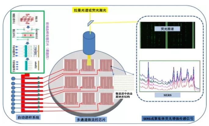 高增敏金屬納米結(jié)構(gòu)材料與聚集體生化傳感器研究