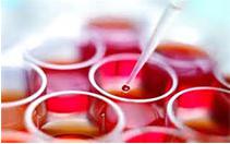 納米技術(shù)芯片或可一次性修復(fù)受傷組織