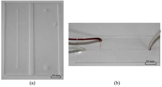 二氧化碳激光器加工完成的微流控芯片（PMMA材質(zhì)，液滴產(chǎn)生器）