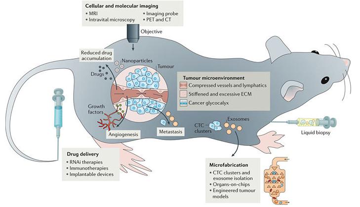腫瘤學(xué)中工程和物理科學(xué)概覽。