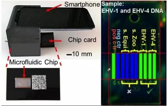 微流控芯片實(shí)驗(yàn)室平臺(tái)：可快速檢測多種傳染病病原體