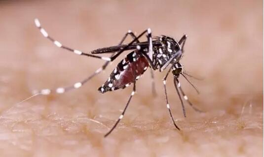 可快速檢測多種傳染病病原體