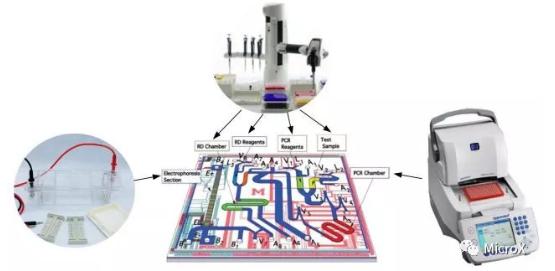 PCR反應(yīng)，DNA電泳在芯片上的整合