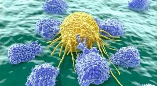 微流控芯片在循環(huán)腫瘤細(xì)胞中的應(yīng)用