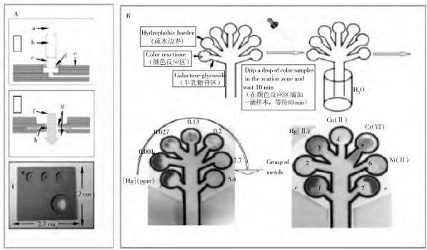 圖 3 重金屬檢測微流控芯片系統(tǒng) 圖 3 重金屬檢測微流控芯片系統(tǒng)