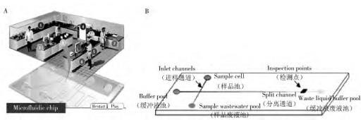 圖 1 微流控芯片的主要功能(A)及常見微流控芯片通道結(jié)構(gòu)(B) 圖 1 微流控芯片的主要功能(A)及常見微流控芯片通道結(jié)構(gòu)(B)