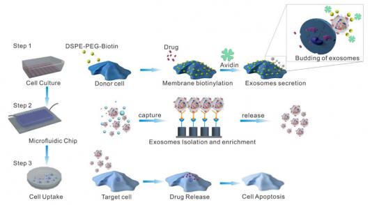 三維納米結(jié)構(gòu)微流控芯片