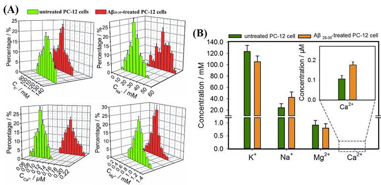 圖3. （A）Aβ25-35刺激前后Na+、K+、Ca2+、Mg2+濃度變化的正態(tài)分布圖；（B）Aβ25-35刺激前后Na+、K+、Ca2+、Mg2+濃度變化的柱狀圖