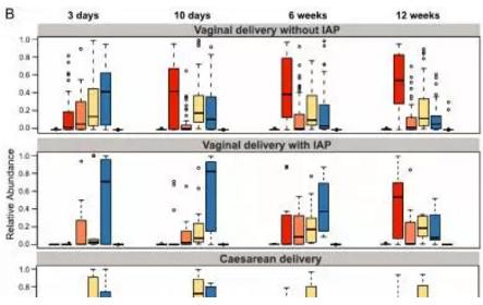 孕婦分娩期用抗生素，嬰兒菌群成熟推遲