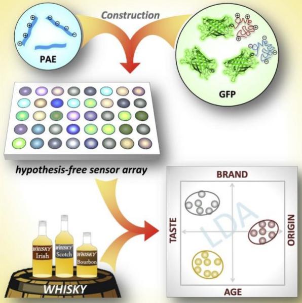 微陣列螢光標定的生物芯片