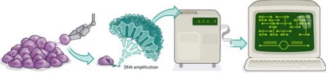 單細(xì)胞測(cè)序技術(shù)的流程