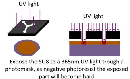 曝光的目的是通過(guò)激活光刻膠中的部分PAC（PhotoActiv Component）來(lái)引發(fā)交聯(lián)反應(yīng)