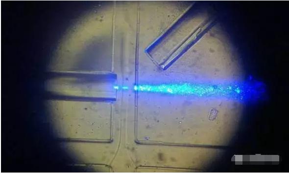 工作中的新型設(shè)備：光纖發(fā)出藍(lán)光，照亮從左向右流動(dòng)的細(xì)胞樣本。（圖片來(lái)源：URV）