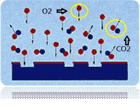 圖二為已被電離化的氣體分子團(tuán)（Plasma）對(duì)被處理材料的分子團(tuán)進(jìn)行撞擊及反應(yīng)。