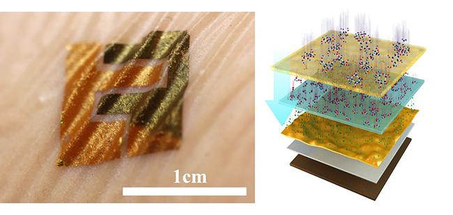 類皮膚生物傳感器及結(jié)構(gòu)示意圖