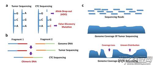 CTC測序的挑戰(zhàn)與未來展望